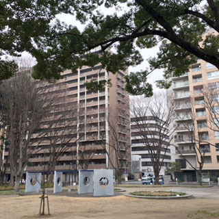 白川公園北・左ウインコート、右プラウド栄（白川通り）