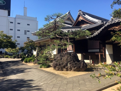 政秀寺:庫裏と本堂(栄3-34-23)